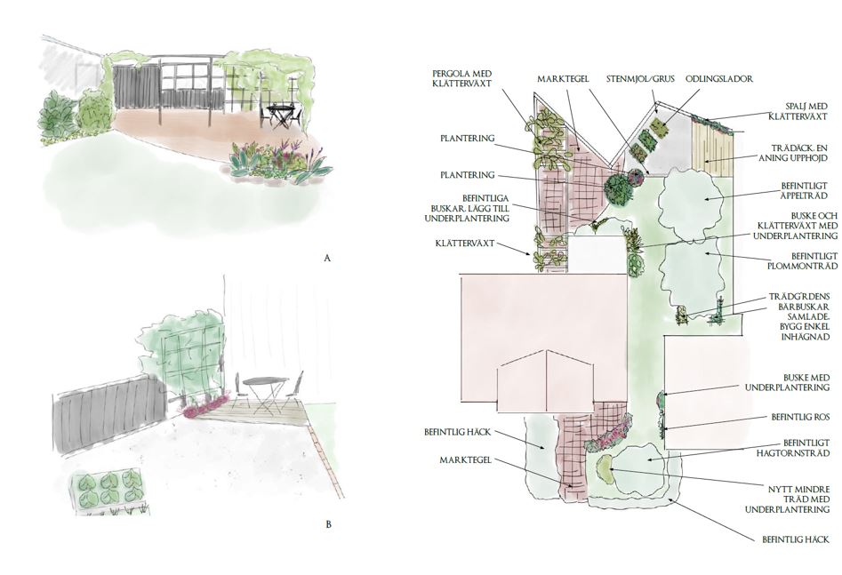 Illustrationsplan för trädgård i Kil med pergola, odlingslådor, trä- och marktegelgångar samt planteringar; två vyer visar sittplatser.