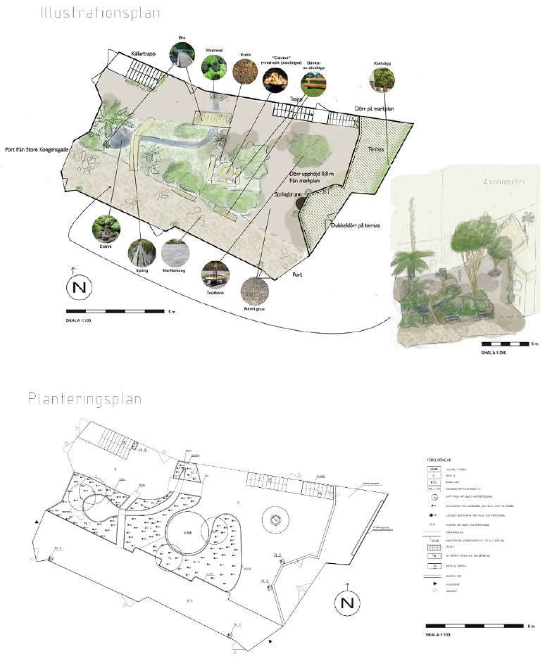 Illustrations- och planteringsplan för vinterträdgården i Sankt Annæ passage, med växtvägg, sittplatser, terrass och exotisk plantering.