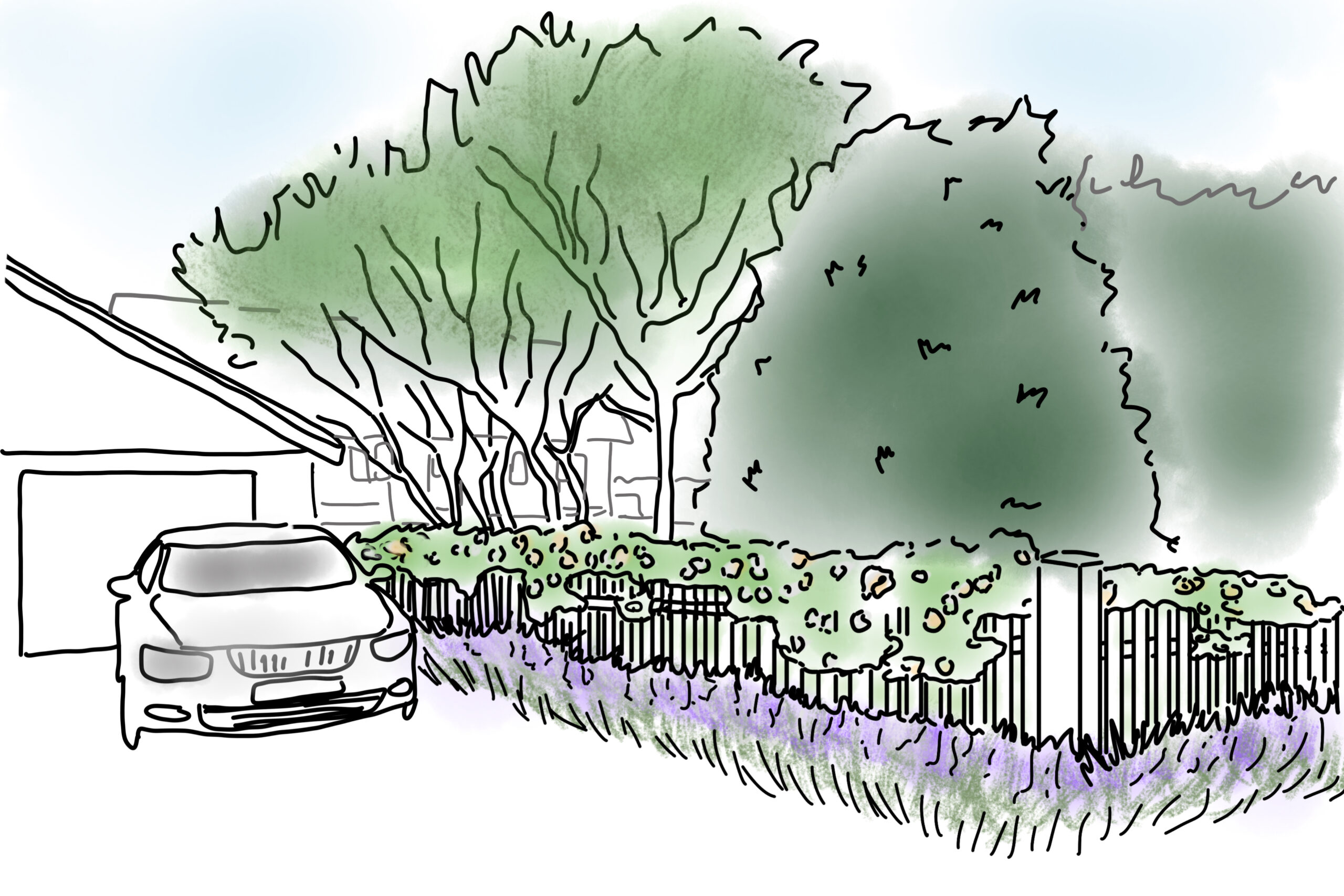Illustrationsskiss för villaträdgården i Mölle med blommande förgårdsplantering, häck, staket och uppstammade träd vid uppfarten.