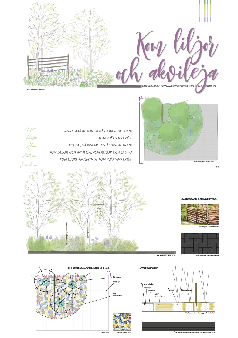 Presentationsskiva för idéträdgården ”Kom, liljor och akvileja” med planteringsplan, sektioner, material och lummig sittplats vid gärdsgård.