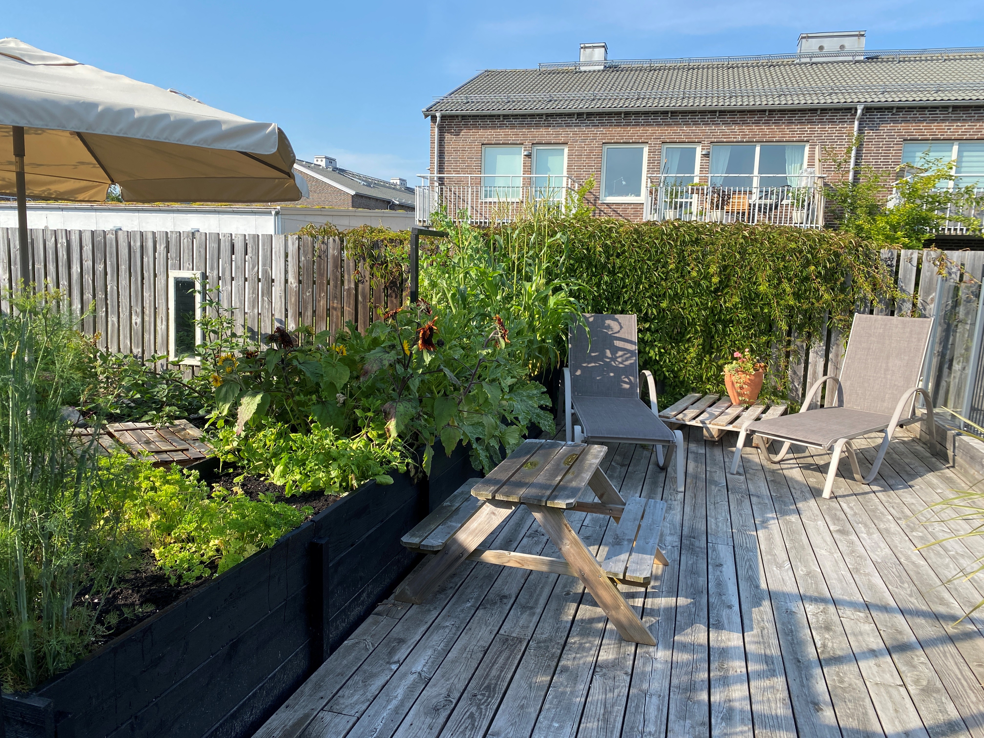Liten bakgård med trädäck, sittplatser och frodiga odlingsbäddar i svartmålade pallkragar, avskärmad av staket och klätterväxter.