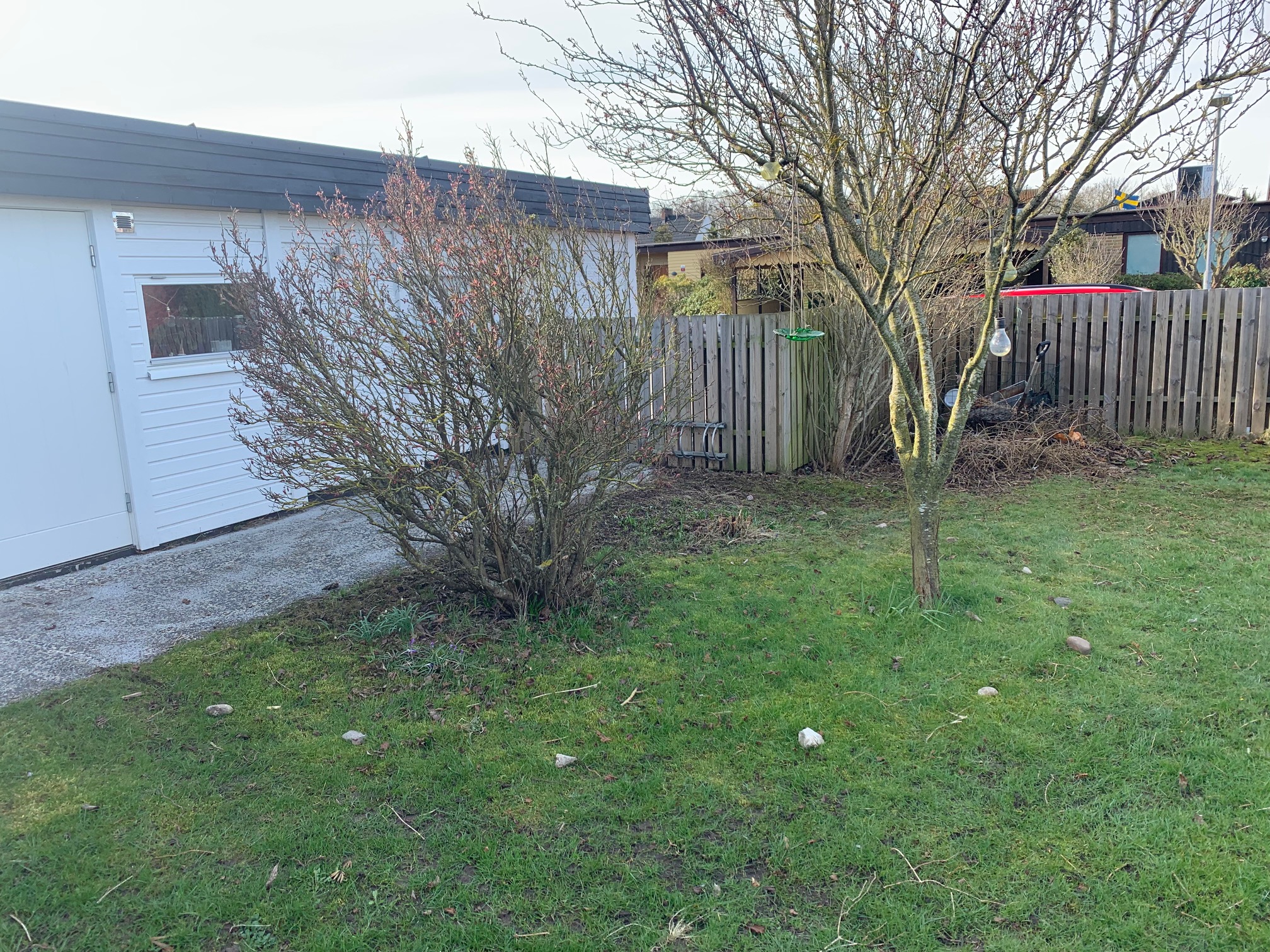 Lummig framsida före omgestaltning: gles gräsmatta med några buskar och träd intill garage, betonggång och trästaket.