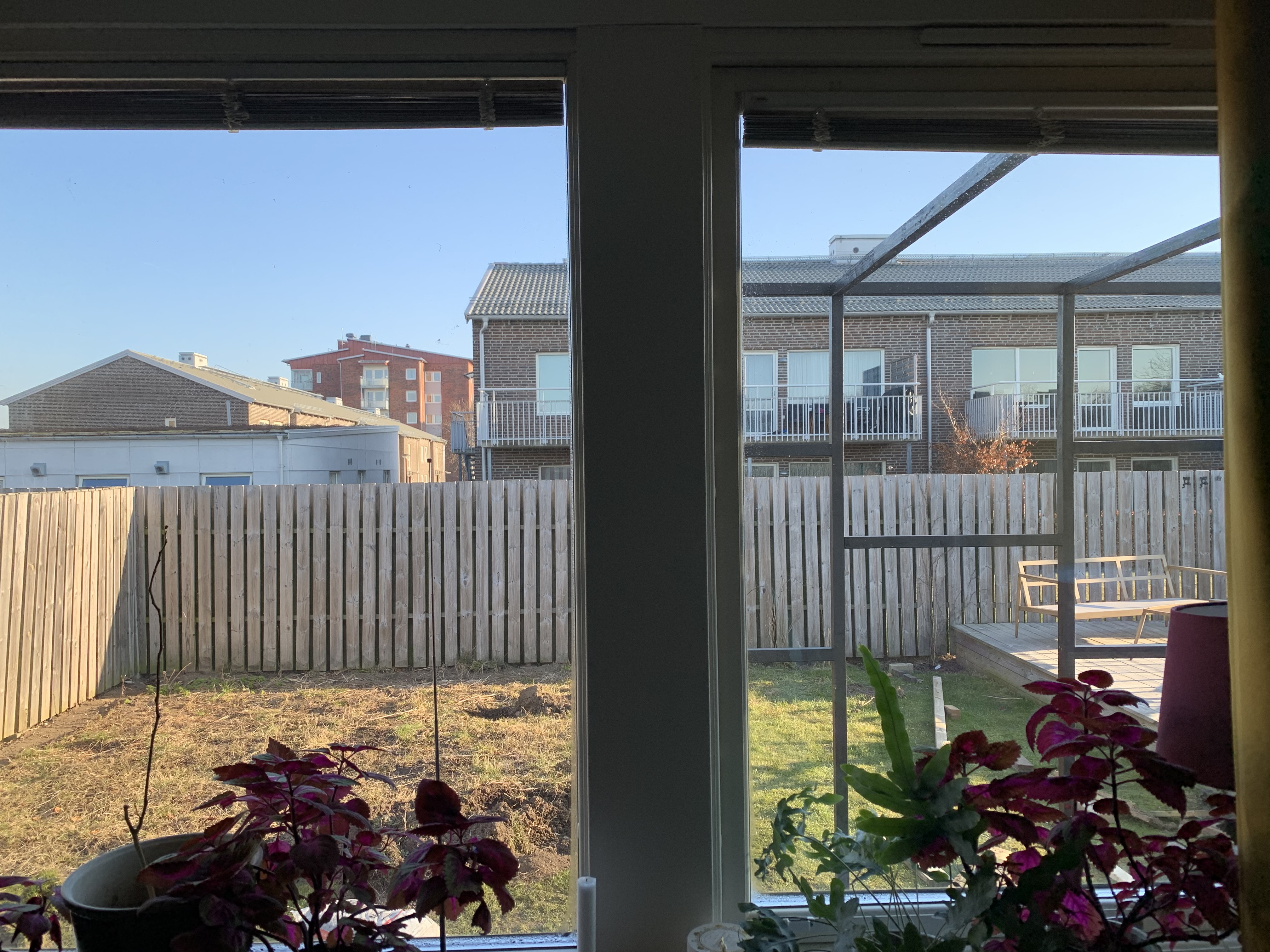 Före omgestaltningen: en kal liten bakgård med gles gräsmatta, trästaket och en upphöjd träterrass.